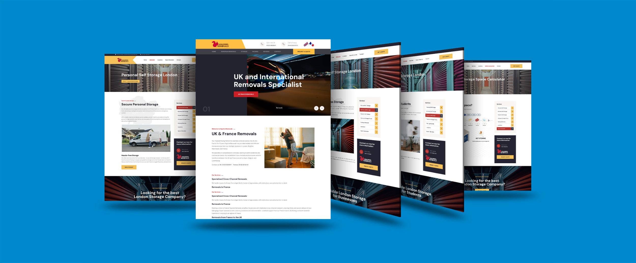 Squirrels Removals and Storage